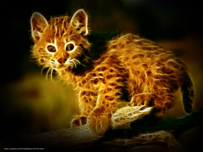 glowing kitten on branch