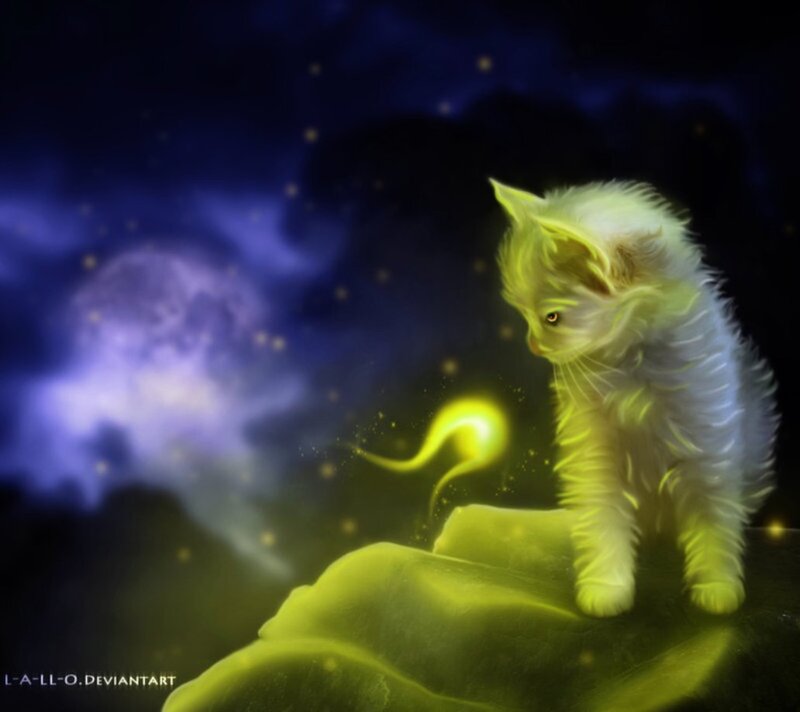 Glowing Kitten on Rock