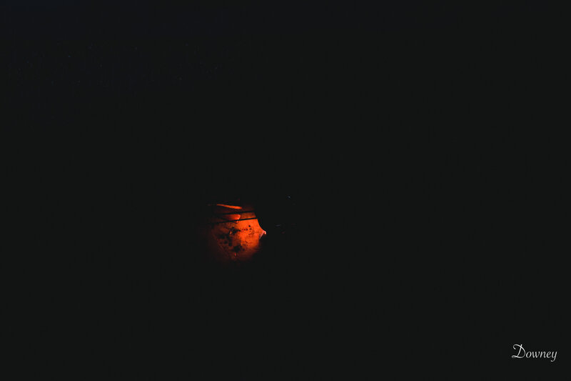 Glowing Lantern in Darkness