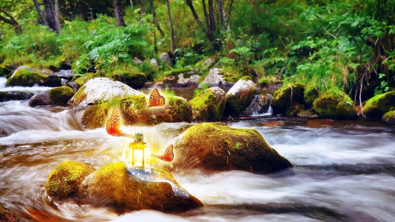 Glowing Lantern in Stream — Green