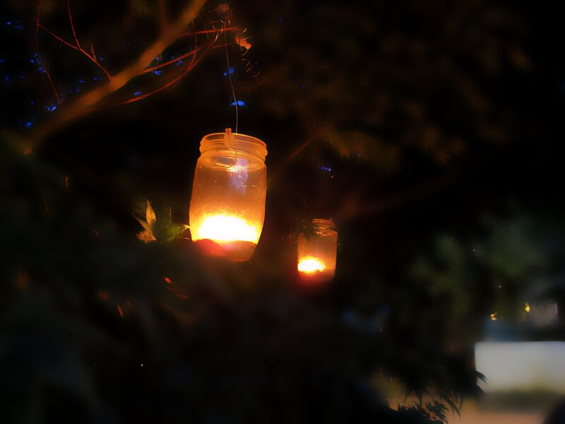 Glowing Lanterns in Trees