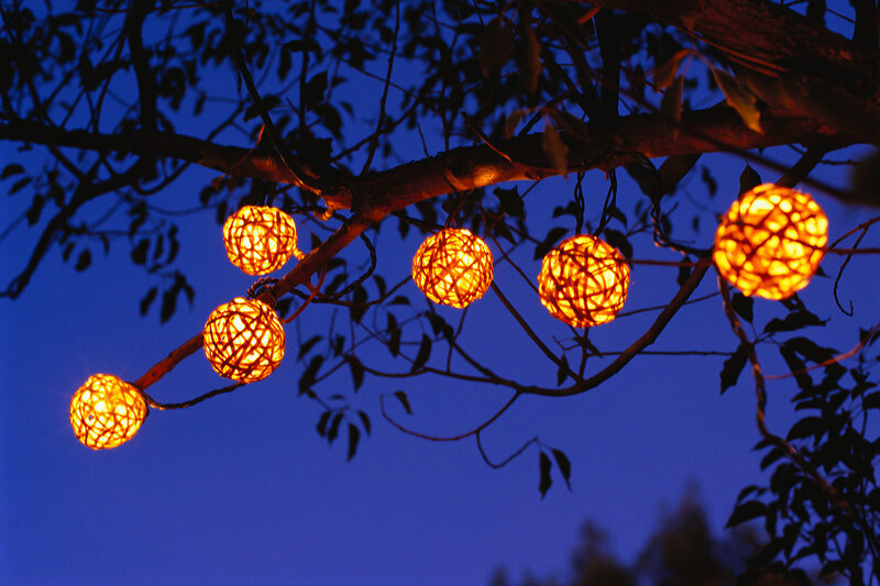 Glowing Lanterns on Tree