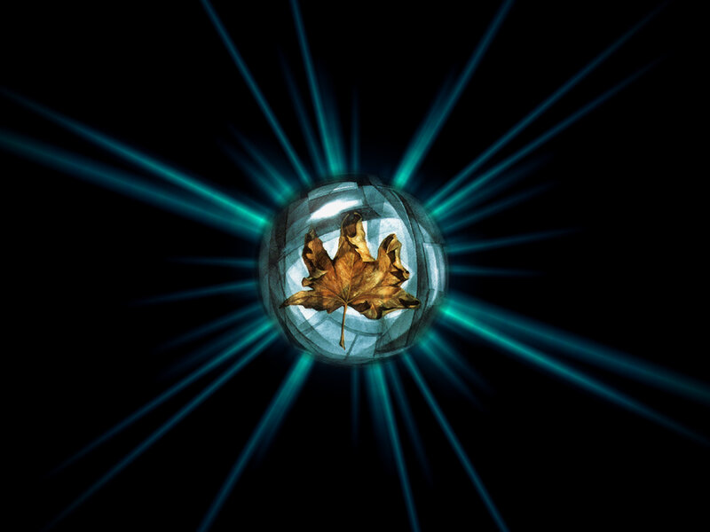 glowing leaf in a sphere