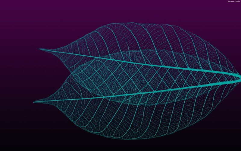 glowing leaf skeleton