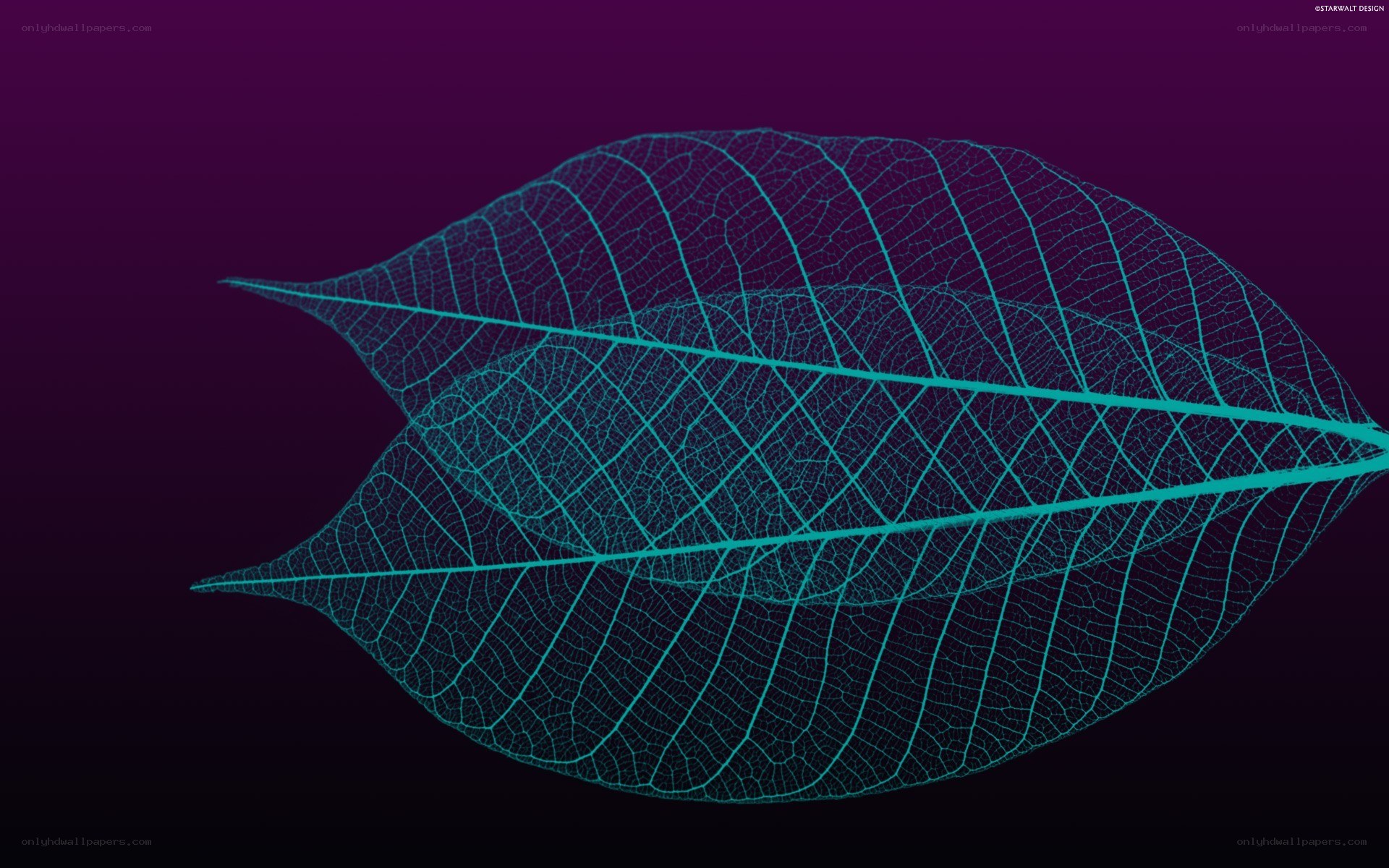 glowing leaf skeleton