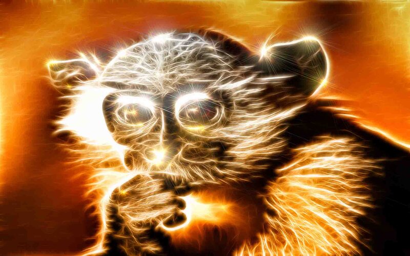 Glowing Lemur Face