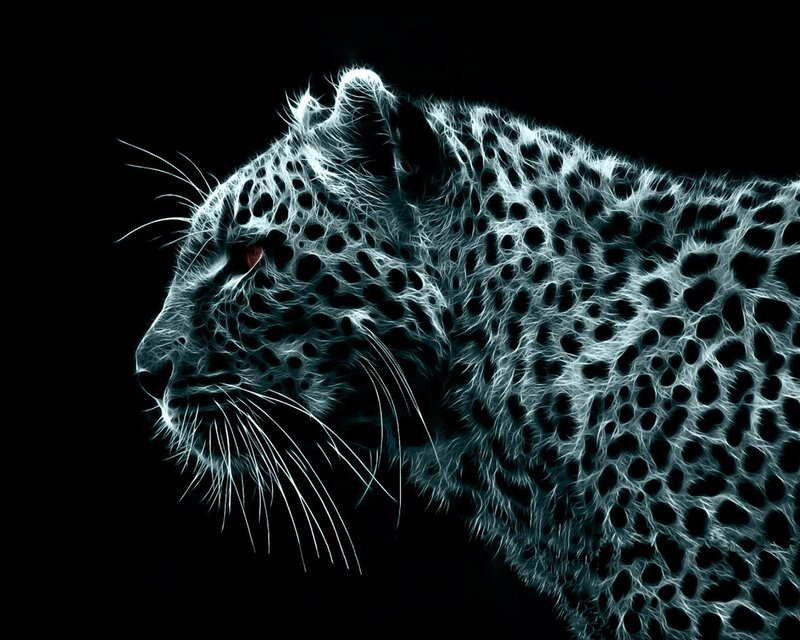 glowing leopard in profile
