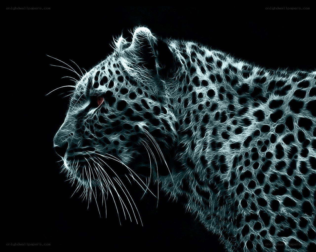 glowing leopard in profile