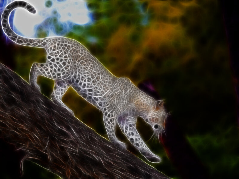 glowing leopard on tree branch