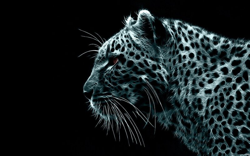 glowing leopard profile