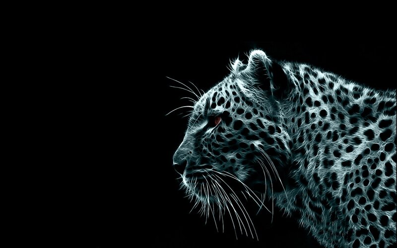 glowing leopard profile