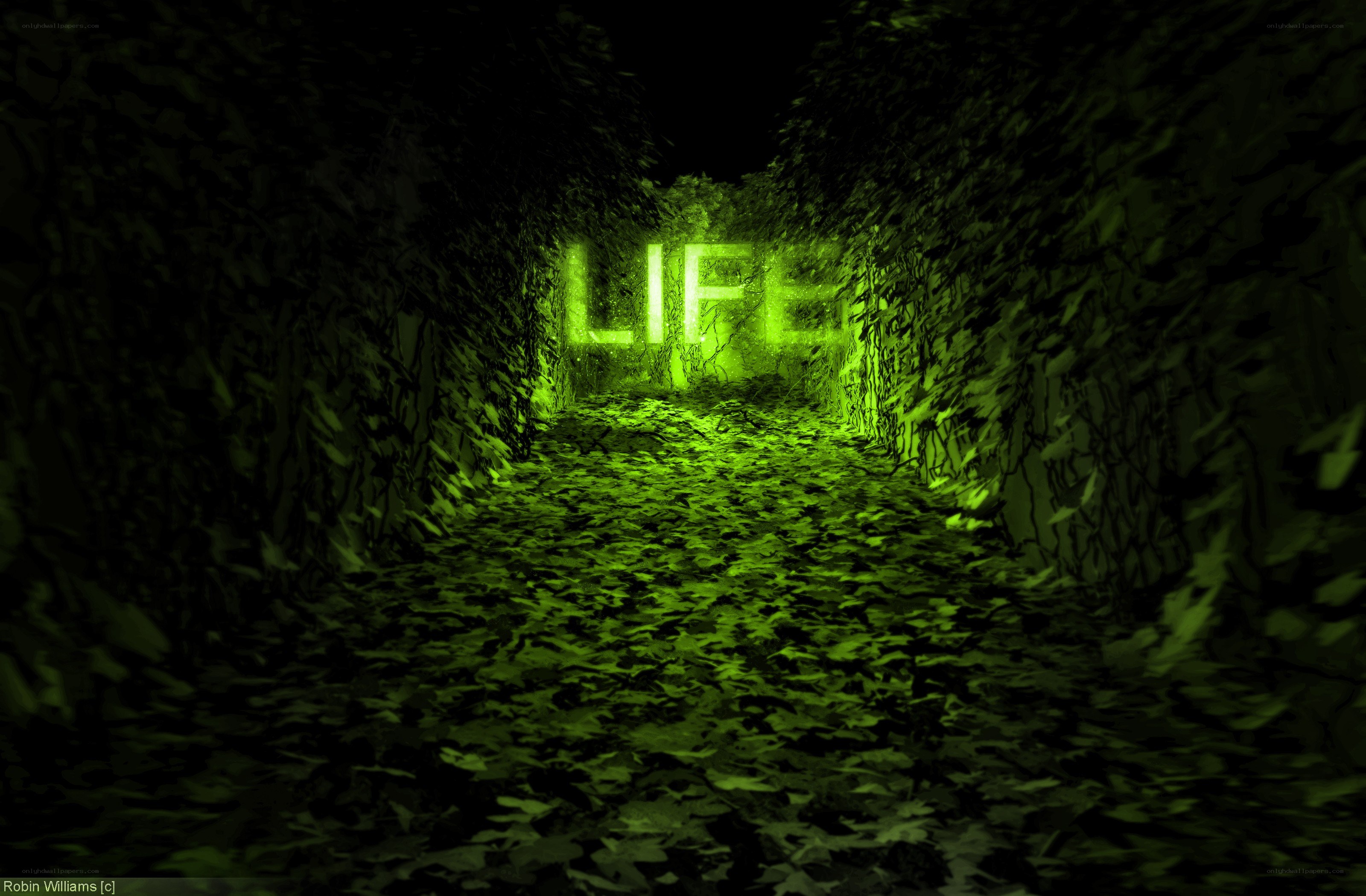 glowing life in a leafy tunnel