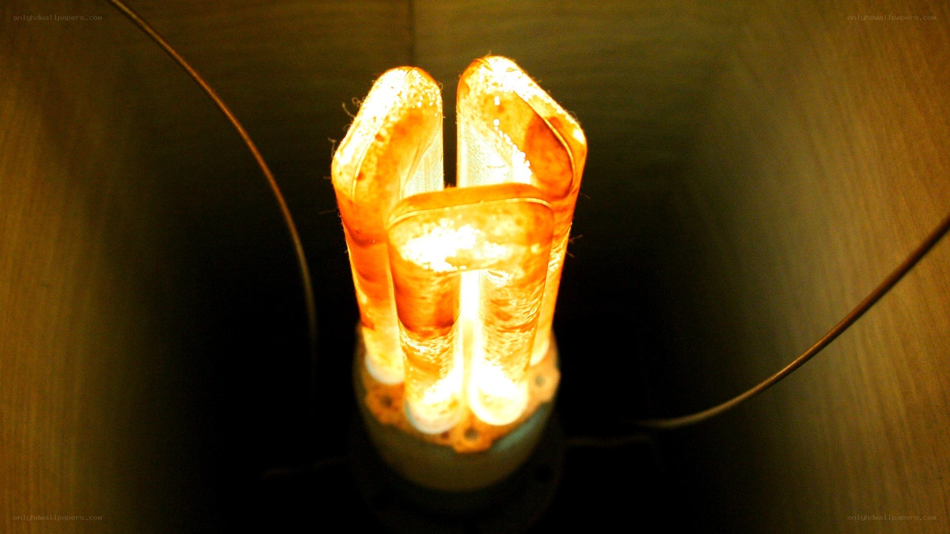 glowing light bulb close-up
