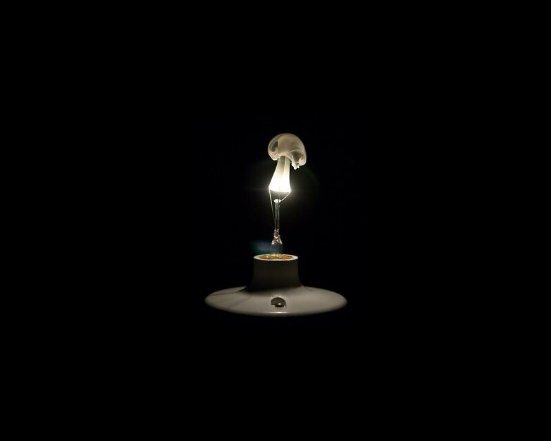 glowing light bulb in darkness