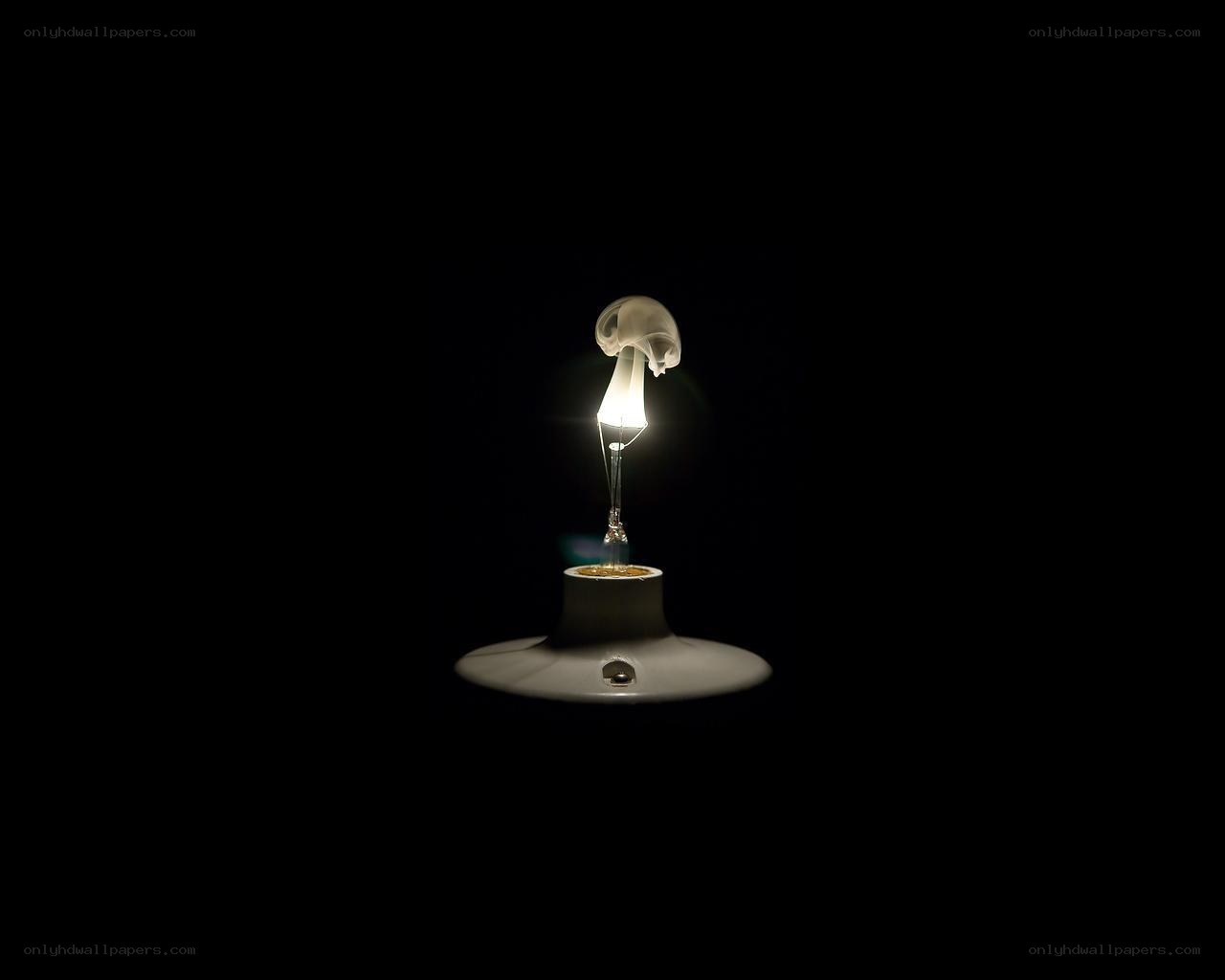 glowing light bulb in darkness