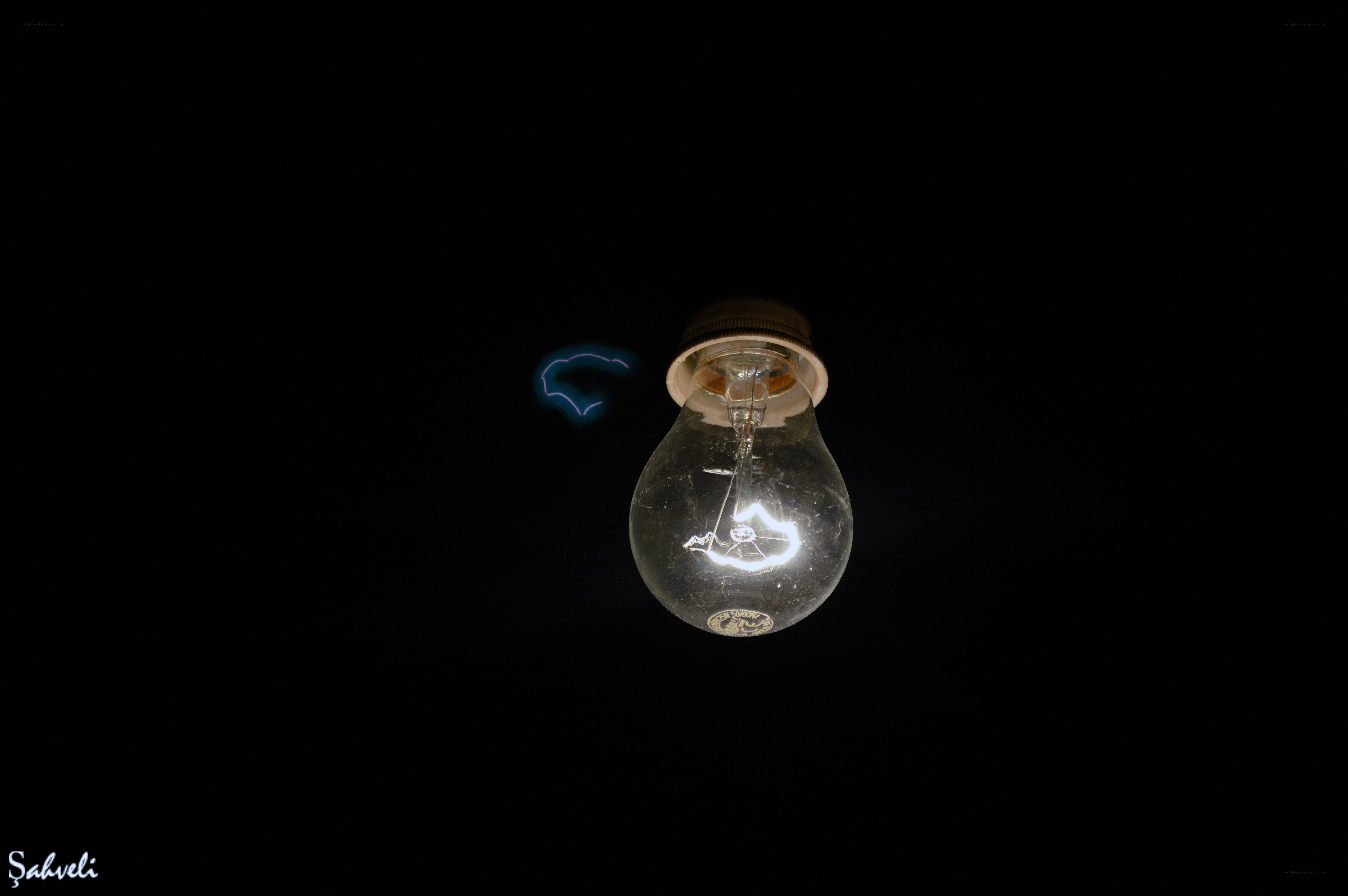 glowing light bulb in darkness