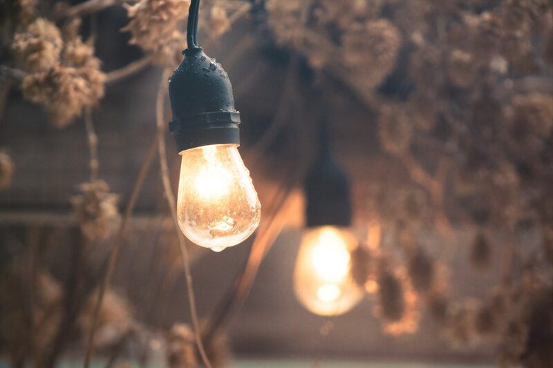 Glowing Light Bulbs — Brown