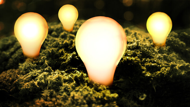 Glowing Light Bulbs in Moss — Yellow