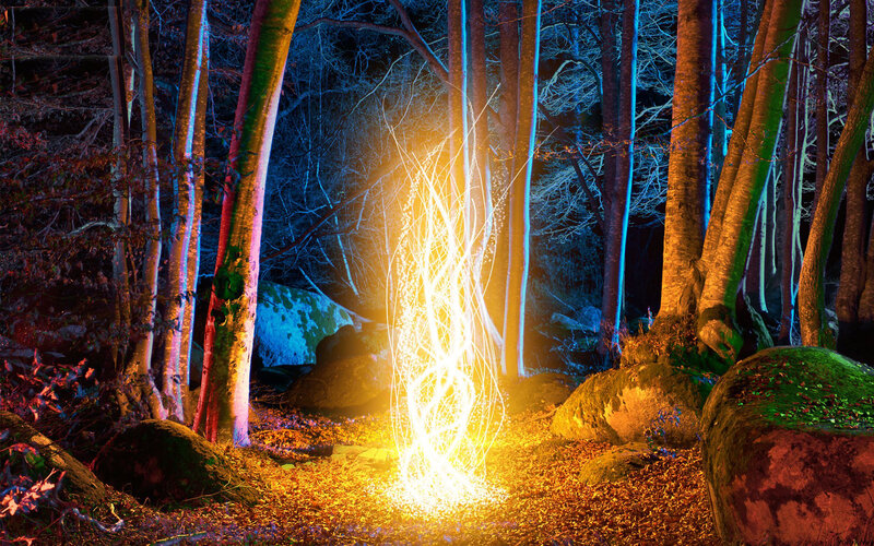 Glowing light in forest