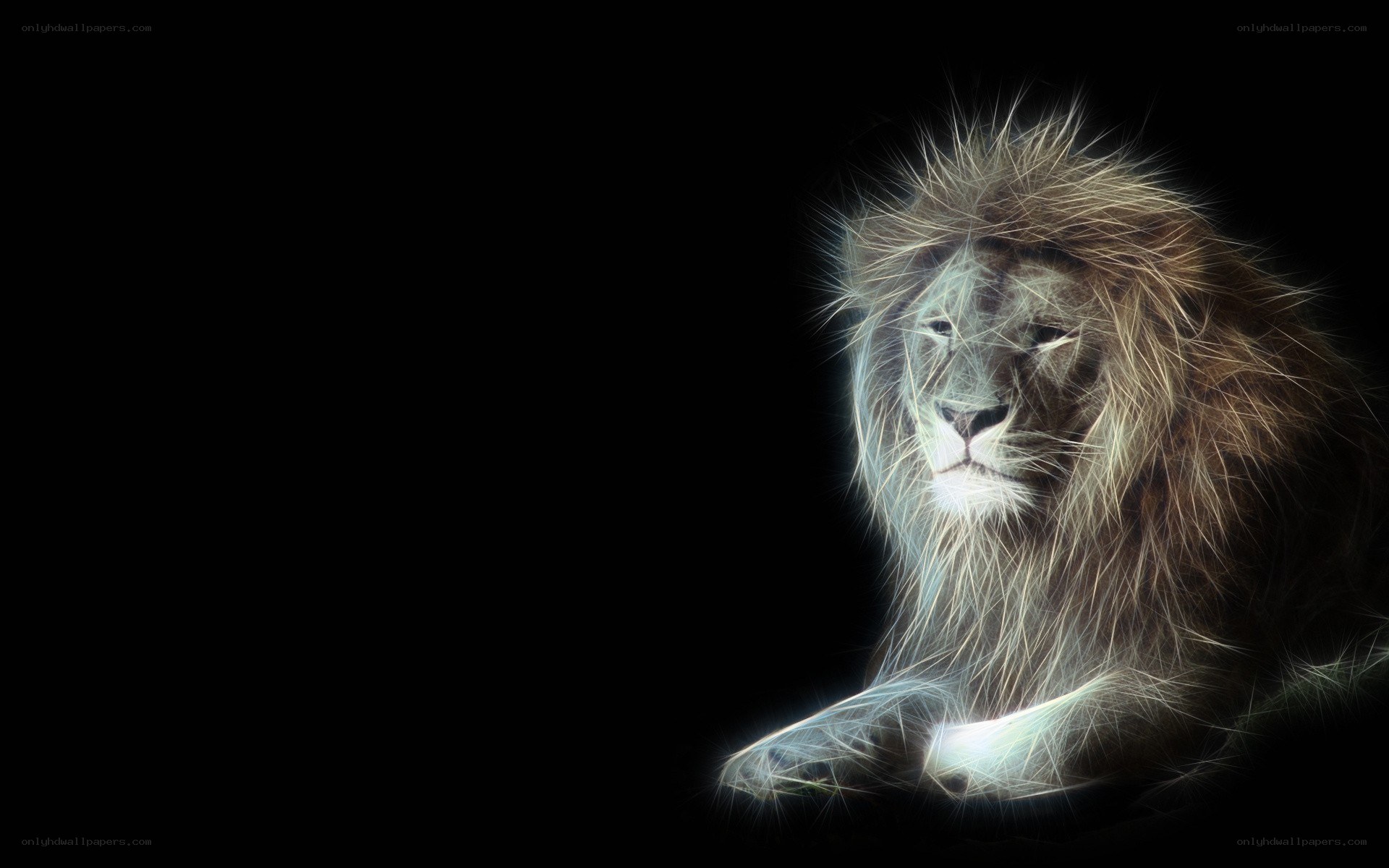 glowing lion on black background