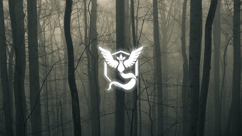 Glowing Logo in Forest