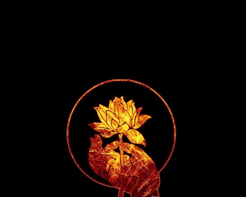 Glowing Lotus Flower — Black, Dramatic