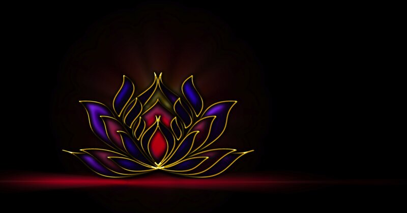 Glowing Lotus Flower — Black