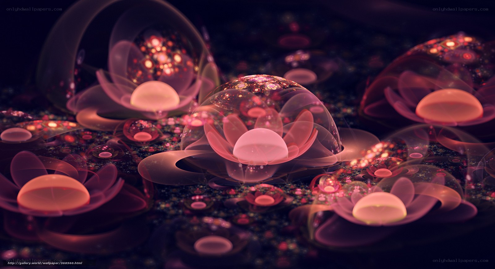glowing lotus flower spheres