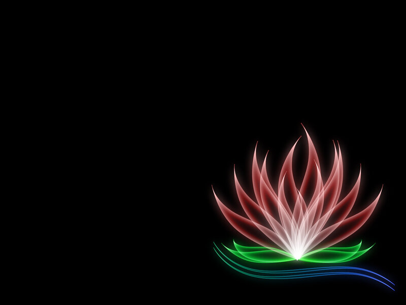 glowing lotus flower