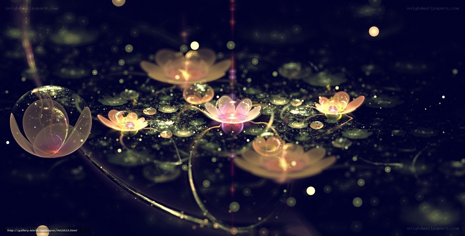 Glowing lotus flowers on water