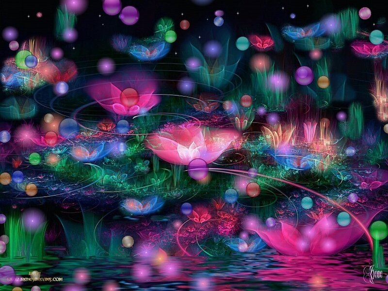 Glowing Lotus Flowers — Pink