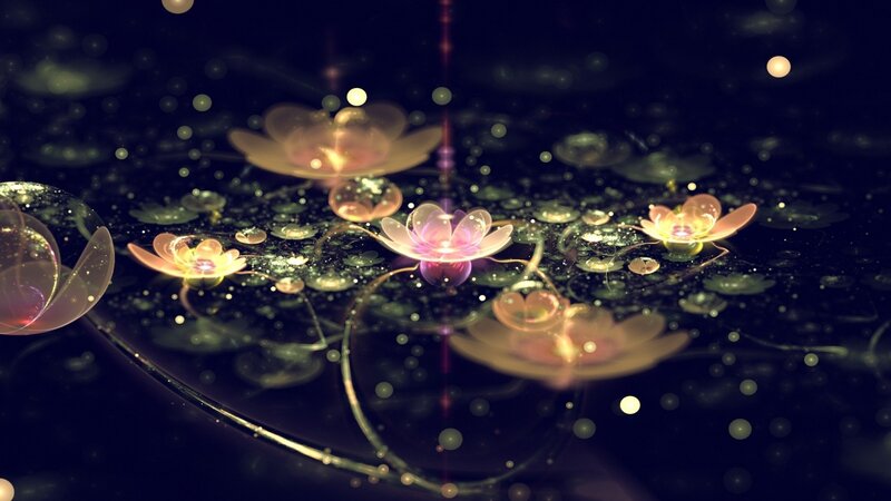 Glowing Lotus Flowers — Purple, Serene, Night