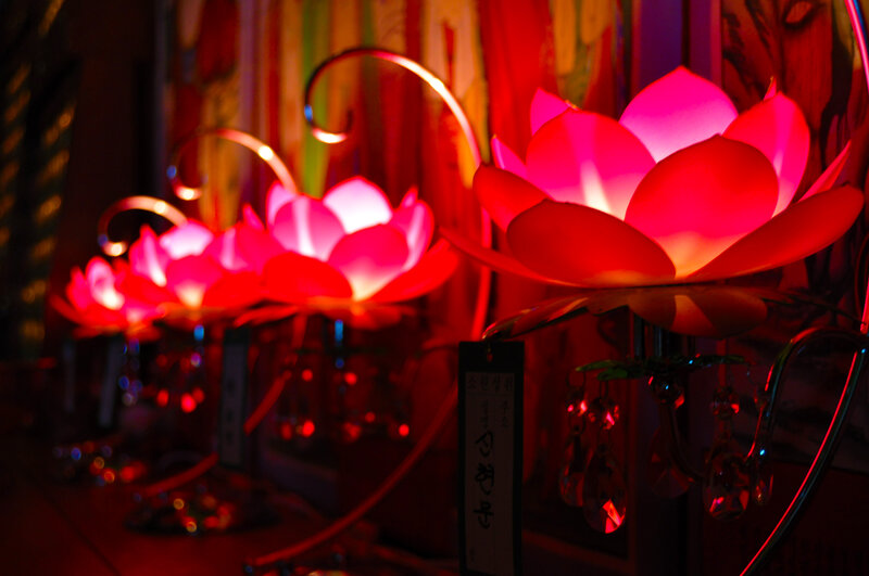 Glowing lotus lanterns