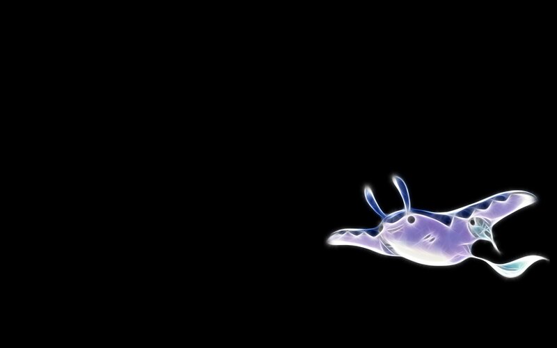 glowing manta ray illustration