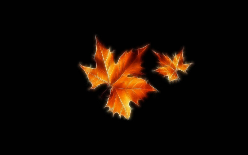Glowing Maple Leaves