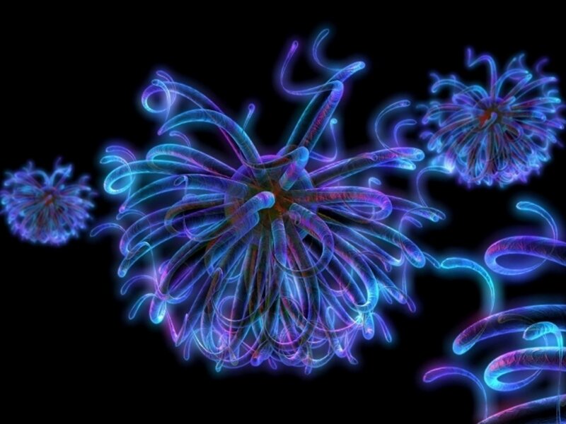 glowing marine organisms