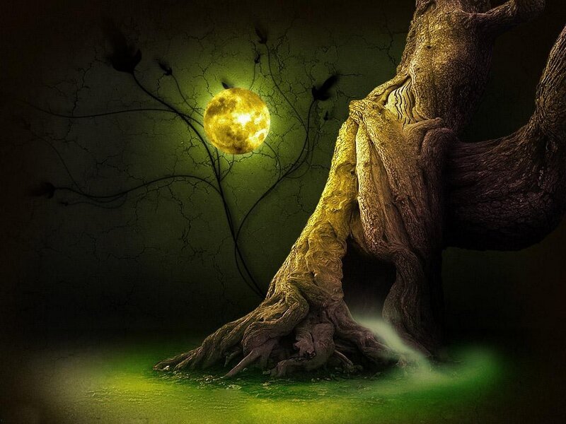 Glowing moon over ancient tree