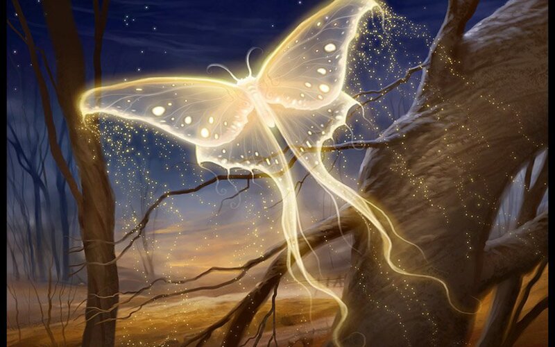 Glowing Moth in Forest