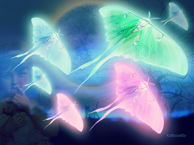 Glowing Moths in Night