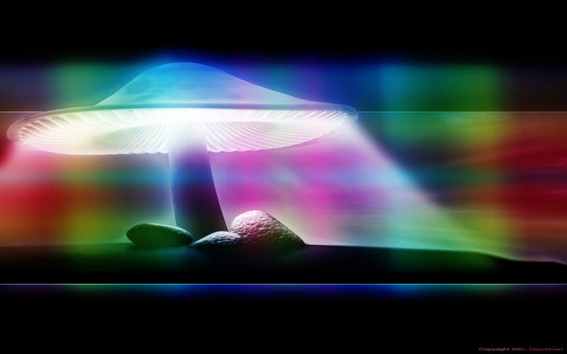 Glowing Mushroom — Black