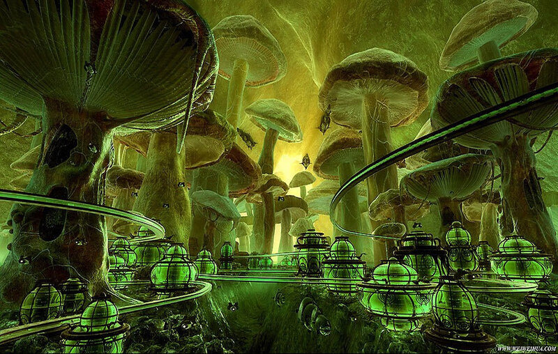 Glowing mushroom forest