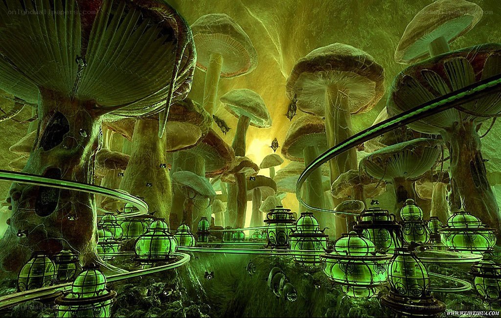 Glowing mushroom forest
