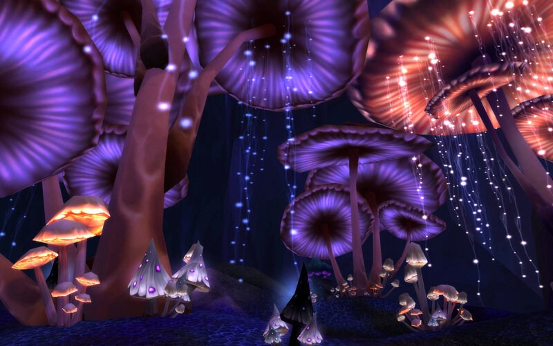 glowing mushroom forest