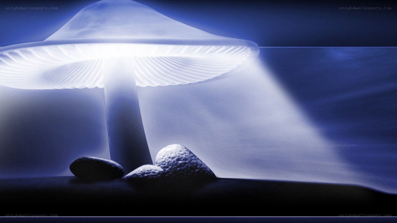 glowing mushroom in blue light