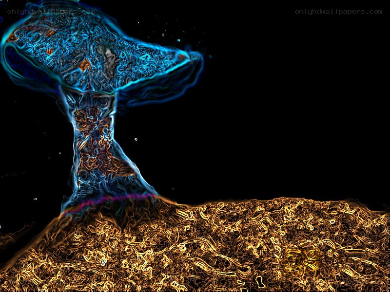 glowing mushroom in dark