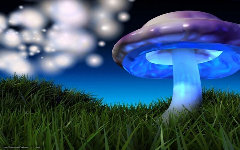 glowing mushroom in grass