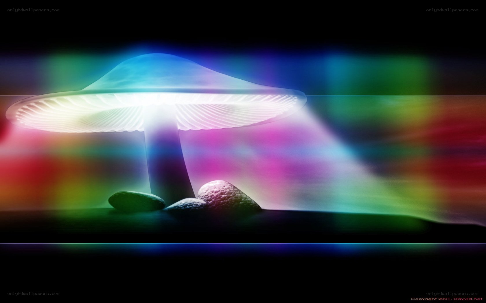 glowing mushroom in rainbow light