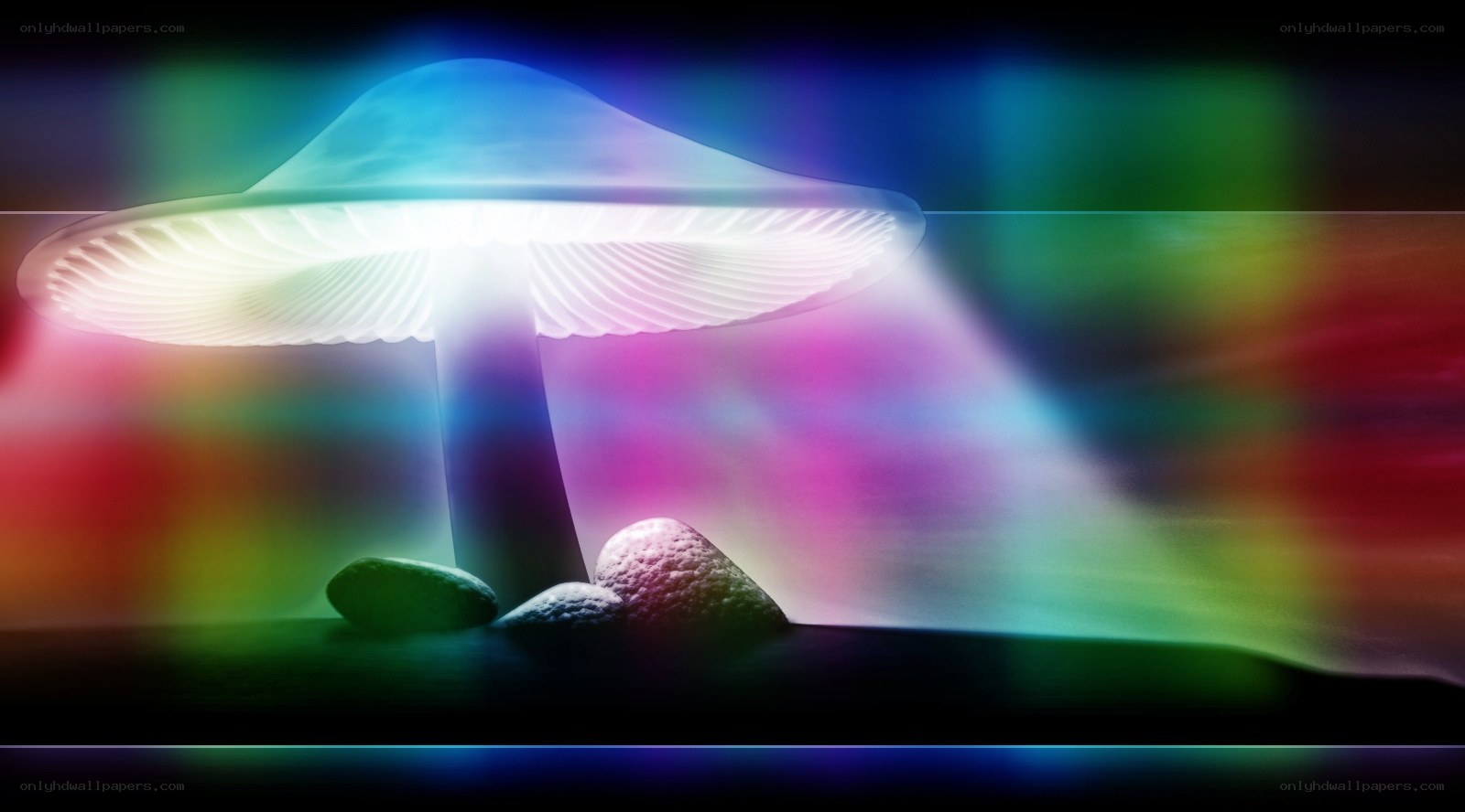 glowing mushroom in rainbow light