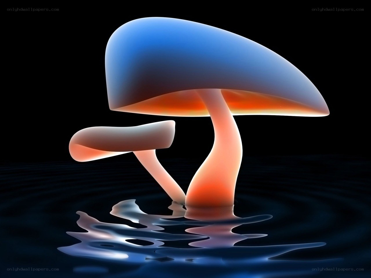 glowing mushroom in water