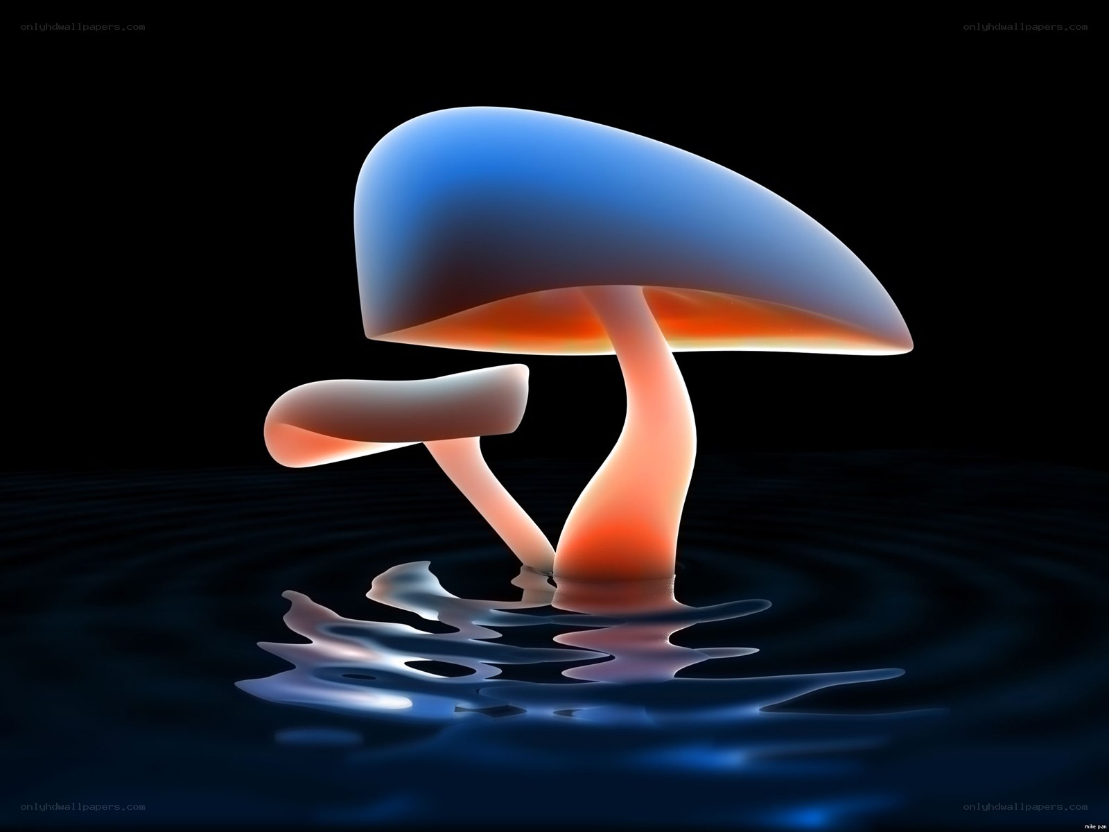 glowing mushroom in water